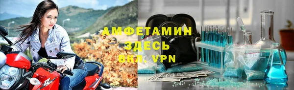 трава Аркадак