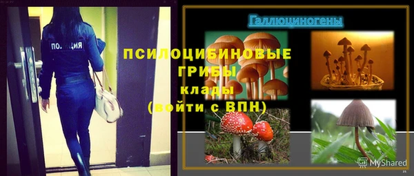 ALPHA PVP Армянск
