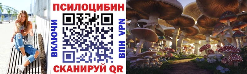 Псилоцибиновые грибы Psilocybe  Салават 